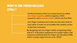 WHAT IS ZINC FINGER NUCLEASE
(ZFNs) ?
Artificial proteins which are comprised of so-called
zinc-finger peptides, which recognize a DNA
sequence, and a nuclease (Fok1), which cuts the DNA.
zinc-finger nucleases act in pairs on two sites close to
each other in order to cut (enables the catalytic action
of the Fok1 enzymes)
By designing two zinc finger motifs recognizing either
side of 5–6 bp spacer sequences at a target region, FokI
nuclease combined with zinc finger can introduce DSBs
within a target region (Urnov et al., 2010).
 
