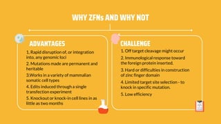 CHALLENGEADVANTAGES
1, Rapid disruption of, or integration
into, any genomic loci
2. Mutations made are permanent and
heritable
3.Works in a variety of mammalian
somatic cell types
4. Edits induced through a single
transfection experiment
5. Knockout or knock-in cell lines in as
little as two months
1. Off target cleavage might occur
2. Immunological response toward
the foreign protein inserted.
3. Hard or difficulties in construction
of zinc finger domain
4. Limited target site selection - to
knock in specific mutation.
5. Low efficiency
WHY ZFNs AND WHY NOT
 