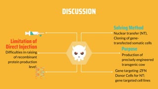 DISCUSSION
Limitation of
Direct Injection
Difficulties in raising
of recombinant
protein production
level.
Gene targeting :ZFN
Donor Cells for NT:
gene targeted cell lines
Solving Method
Nuclear transfer (NT),
Cloning of gene-
transfected somatic cells
Production of
precisely engineered
transgenic cow
Purpose
 