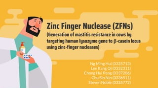 Zinc Finger Nuclease (ZFNs)
(Generation of mastitis resistance in cows by
targeting human lysozyme gene to β-casein locus
using zinc-finger nucleases)
Ng Ming Hui (0335713)
Lee Kang Qi (0332311)
Chong Hui Peng (0337206)
Chu Sin Nin (0336511)
Steven Noble (0335772)
 