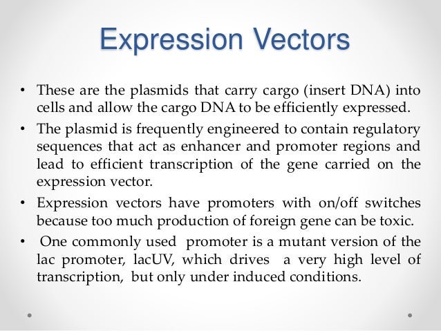 expression vector
