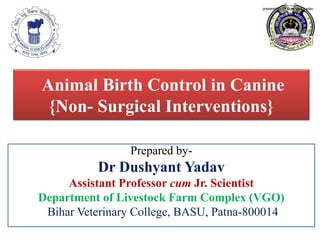 Animal Birth Control in Canine
{Non- Surgical Interventions}
Prepared by-
Dr Dushyant Yadav
Assistant Professor cum Jr. Scientist
Department of Livestock Farm Complex (VGO)
Bihar Veterinary College, BASU, Patna-800014
prepared by Dr Dushyant Yadav
 