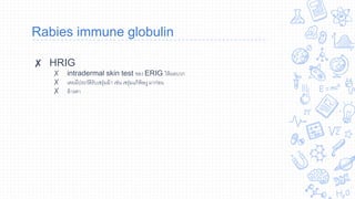 Rabies immune globulin
✘ HRIG
✗ intradermal skin test ของ ERIG ให้ผลบวก
✗ เคยมีประวัติรับเซรุ่มม้า เช่น เซรุ่มแก้พิษงู มาก่อน
✗ ล้างตา
 