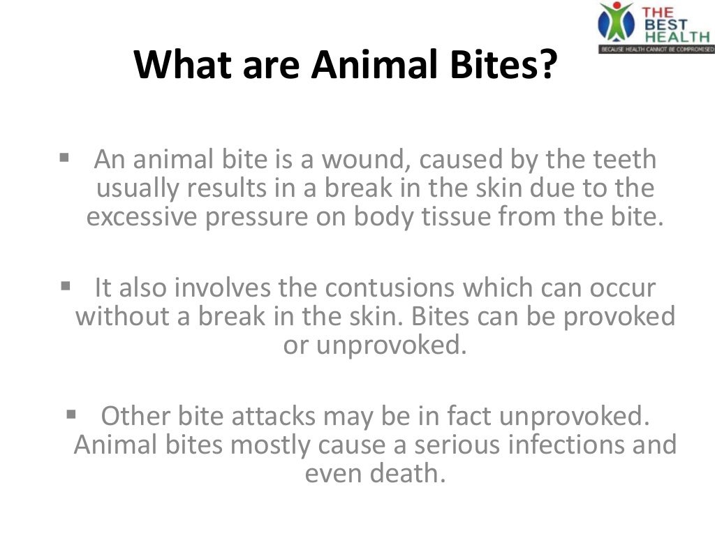 Animal Bites Causes Symptoms Treatment