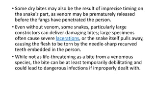 • Some dry bites may also be the result of imprecise timing on
the snake's part, as venom may be prematurely released
before the fangs have penetrated the person.
• Even without venom, some snakes, particularly large
constrictors can deliver damaging bites; large specimens
often cause severe lacerations, or the snake itself pulls away,
causing the flesh to be torn by the needle-sharp recurved
teeth embedded in the person.
• While not as life-threatening as a bite from a venomous
species, the bite can be at least temporarily debilitating and
could lead to dangerous infections if improperly dealt with.
 