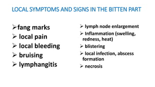 LOCAL SYMPTOMS AND SIGNS IN THE BITTEN PART
fang marks
 local pain
 local bleeding
 bruising
 lymphangitis
 lymph node enlargement
 Inflammation (swelling,
redness, heat)
 blistering
 local infection, abscess
formation
 necrosis
 