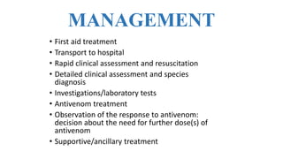 MANAGEMENT
• First aid treatment
• Transport to hospital
• Rapid clinical assessment and resuscitation
• Detailed clinical assessment and species
diagnosis
• Investigations/laboratory tests
• Antivenom treatment
• Observation of the response to antivenom:
decision about the need for further dose(s) of
antivenom
• Supportive/ancillary treatment
 