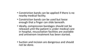 • Constriction bands can be applied if there is no
nearby medical facility.
• Constriction bands can be used but loose
enough that a finger can slide beneath.
• Ideally, compression bandages should not be
released until the patient is under medical care
in hospital, resuscitation facilities are available
and antivenom treatment has been started.
• Suction and incision are dangerous and should
not be done.
 
