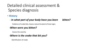 Detailed clinical assessment &
Species diagnosis
• History
- In what part of your body have you been bitten?
Evidence of snake bite, Assess nature & extent of local signs
-When were you bitten?
Assess the severity
-Where is the snake that bit you?
Identification of snake
 