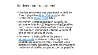 Antivenom treatment
• The first antivenom was developed in 1895 by
French physician Albert Calmette for the
treatment of Indian cobra bites.
• Antivenom is immunoglobulin (usually the
enzyme refined F(ab)2 fragment of IgG)purified
from the serum or plasma of a horse or sheep
that has been immunised with the venoms of
one or more species of snake.
• Antivenom is injected into the person
intravenously, and works by binding to and
neutralizing venom enzymes. It cannot undo
damage already caused by venom, so antivenom
treatment should be sought as soon as possible.
 
