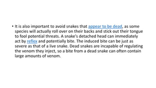 • It is also important to avoid snakes that appear to be dead, as some
species will actually roll over on their backs and stick out their tongue
to fool potential threats. A snake's detached head can immediately
act by reflex and potentially bite. The induced bite can be just as
severe as that of a live snake. Dead snakes are incapable of regulating
the venom they inject, so a bite from a dead snake can often contain
large amounts of venom.
 