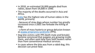 • In 2010, an estimated 26,000 people died from
rabies, down from 54,000 in 1990.
• The majority of the deaths occurred in Asia and
Africa.
• India has the highest rate of human rabies in the
world, primarily
- because of stray dogs,whose number has greatly
increased since a 2001 law forbade the killing of
dogs.
- a form of mass hysteria or group delusion known
as puppy pregnancy syndrome (PPS).
• Dog bite victims with PPS (both male and female)
become convinced that puppies are growing inside
them, and often seek help from faith healers rather
than from conventional medical services.
• In cases where the bite was from a rabid dog, this
decision can prove fatal.
 