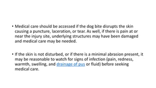 • Medical care should be accessed if the dog bite disrupts the skin
causing a puncture, laceration, or tear. As well, if there is pain at or
near the injury site, underlying structures may have been damaged
and medical care may be needed.
• If the skin is not disturbed, or if there is a minimal abrasion present, it
may be reasonable to watch for signs of infection (pain, redness,
warmth, swelling, and drainage of pus or fluid) before seeking
medical care.
 