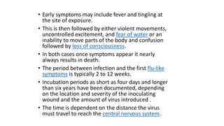 • Early symptoms may include fever and tingling at
the site of exposure.
• This is then followed by either violent movements,
uncontrolled excitement, and fear of water or an
inability to move parts of the body and confusion
followed by loss of consciousness.
• In both cases once symptoms appear it nearly
always results in death.
• The period between infection and the first flu-like
symptoms is typically 2 to 12 weeks.
• Incubation periods as short as four days and longer
than six years have been documented, depending
on the location and severity of the inoculating
wound and the amount of virus introduced .
• The time is dependent on the distance the virus
must travel to reach the central nervous system.
 