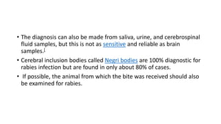 • The diagnosis can also be made from saliva, urine, and cerebrospinal
fluid samples, but this is not as sensitive and reliable as brain
samples.[
• Cerebral inclusion bodies called Negri bodies are 100% diagnostic for
rabies infection but are found in only about 80% of cases.
• If possible, the animal from which the bite was received should also
be examined for rabies.
 
