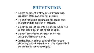 PREVENTION
• Do not approach a stray or unfamiliar dog,
especially if its owner is not present.
• If a confrontation occurs, do not make eye
contact and do not run or scream.
• Do not approach an unfamiliar dog while it is
eating, sleeping, or caring for puppies.
• Do not leave young children or infants
unsupervised with a dog.
• Contacting an animal control officer upon
observing a wild animal or a stray, especially if
the animal is acting strangely
 
