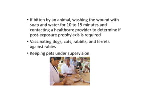 • If bitten by an animal, washing the wound with
soap and water for 10 to 15 minutes and
contacting a healthcare provider to determine if
post-exposure prophylaxis is required
• Vaccinating dogs, cats, rabbits, and ferrets
against rabies
• Keeping pets under supervision
 