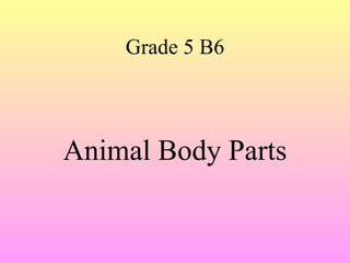 Grade 5 B6



Animal Body Parts
 