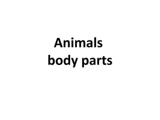 Animals
body parts
 
