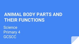 ANIMAL BODY PARTS AND
THEIR FUNCTIONS
Science
Primary 4
GCSCC
 