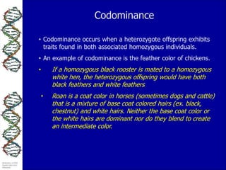 Codominant Offspring Animal breeding | PDF