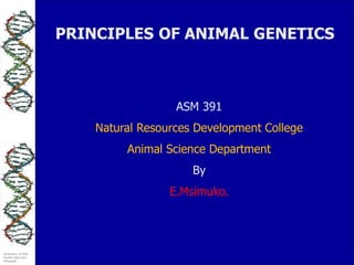Illustration of DNA
Double Helix from
Wikipedia.
PRINCIPLES OF ANIMAL GENETICS
ASM 391
Natural Resources Development College
Animal Science Department
By
E.Msimuko.
 