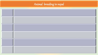 Animal breeding in nepal
 