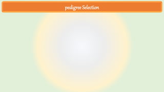 pedigree Selection
 