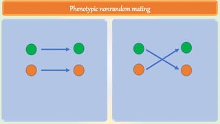 Phenotypic nonrandommating
 