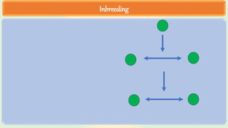 Inbreeding
 
