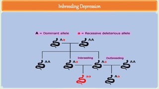 Inbreeding Depression
 