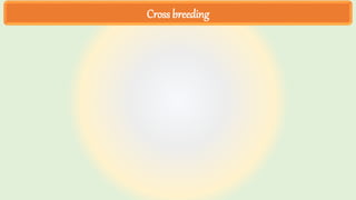 Cross breeding
 