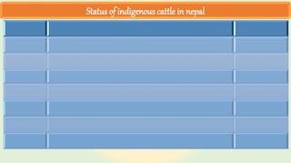 Status of indigenous cattle in nepal
 