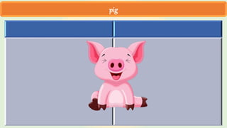 pig
 