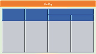 Poultry
 