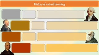 History of animal breeding
 