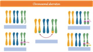 Chromosomal aberration
 