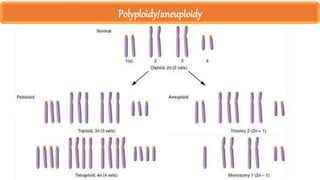 Polyploidy/aneuploidy
 