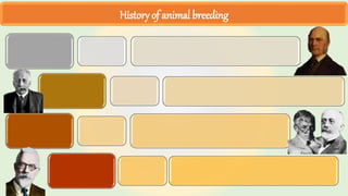 History of animal breeding
 