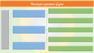 Phenotypic expression of gene
 