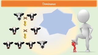 Dominance
 