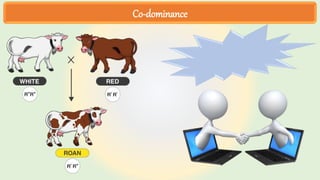 Co-dominance
 