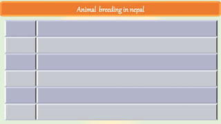 Animal breeding in nepal
 
