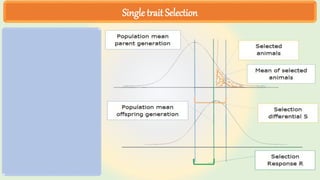 Single trait Selection
 