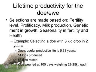 Lifetime productivity for the
doe/ewe
• Selections are made based on: Fertility
level, Prolificacy, Milk production, Genetic
merit in growth, Seasonality in fertility and
Health
– Example: Selecting a doe with 3 kid crop in 2
years
• Doe’s useful productive life is 5.33 years:
• 14 kids produced
• 13 kids raised
• Kids weaned at 100 days weighing 22-25kg each
 