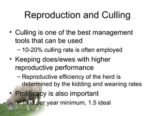 Reproduction and Culling
• Culling is one of the best management
tools that can be used
– 10-20% culling rate is often employed
• Keeping does/ewes with higher
reproductive performance
– Reproductive efficiency of the herd is
determined by the kidding and weaning rates
• Prolificacy is also important
– 1 kid per year minimum, 1.5 ideal
 