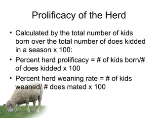 Prolificacy of the Herd
• Calculated by the total number of kids
born over the total number of does kidded
in a season x 100:
• Percent herd prolificacy = # of kids born/#
of does kidded x 100
• Percent herd weaning rate = # of kids
weaned/ # does mated x 100
 