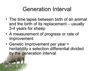 Generation Interval
• The time lapse between birth of an animal
and the birth of its replacement – usually
3-4 years for sheep
• A measurement of progress or rate of
improvement
• Genetic Improvement per year =
heritability x selection differential divided
by the generation interval
 