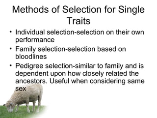 Methods of Selection for Single
Traits
• Individual selection-selection on their own
performance
• Family selection-selection based on
bloodlines
• Pedigree selection-similar to family and is
dependent upon how closely related the
ancestors. Useful when considering same
sex
 