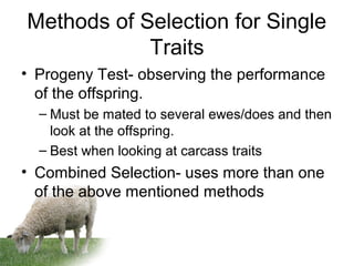 Methods of Selection for Single
Traits
• Progeny Test- observing the performance
of the offspring.
– Must be mated to several ewes/does and then
look at the offspring.
– Best when looking at carcass traits
• Combined Selection- uses more than one
of the above mentioned methods
 